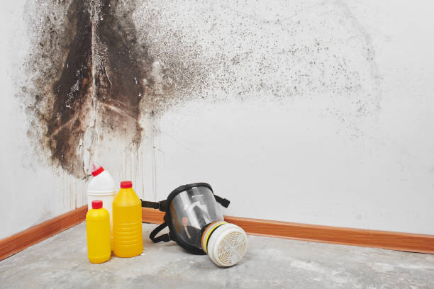 Best Crawl Space Mold Removal  in Rosemount, OH