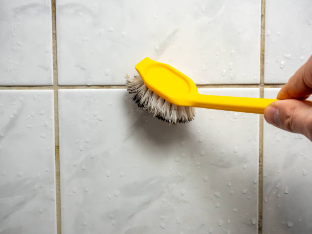Best Mold Removal Near Me  in Rosemount, OH