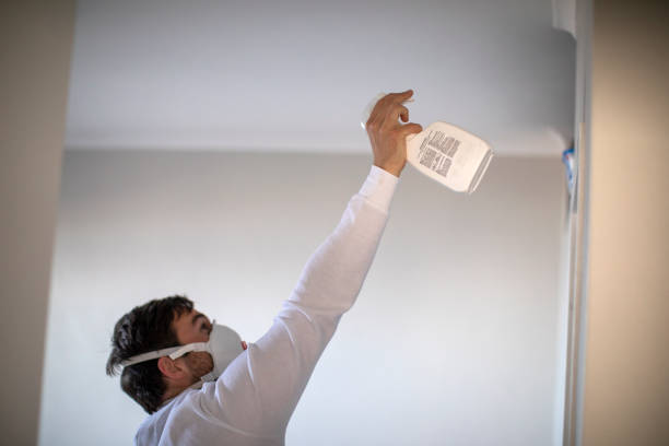 Best Mold Removal Company Near Me  in Rosemount, OH
