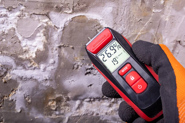 Mold Testing and Removal in Rosemount, OH
