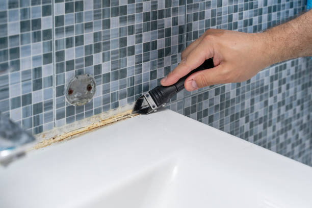 Best Mold Removal and Inspection  in Rosemount, OH
